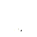 456bra