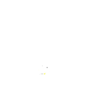 456bra